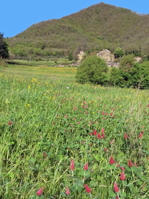 Pieve Di Ca Maggiore Firenzuola Buitenkant foto